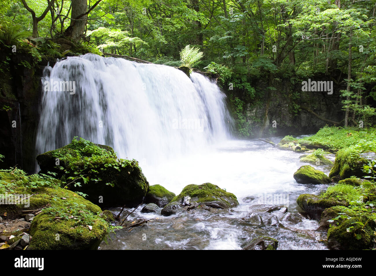 Choshi Great Falls, Oirase Lac Towada, Gorge, Aomori-ken en été Banque D'Images