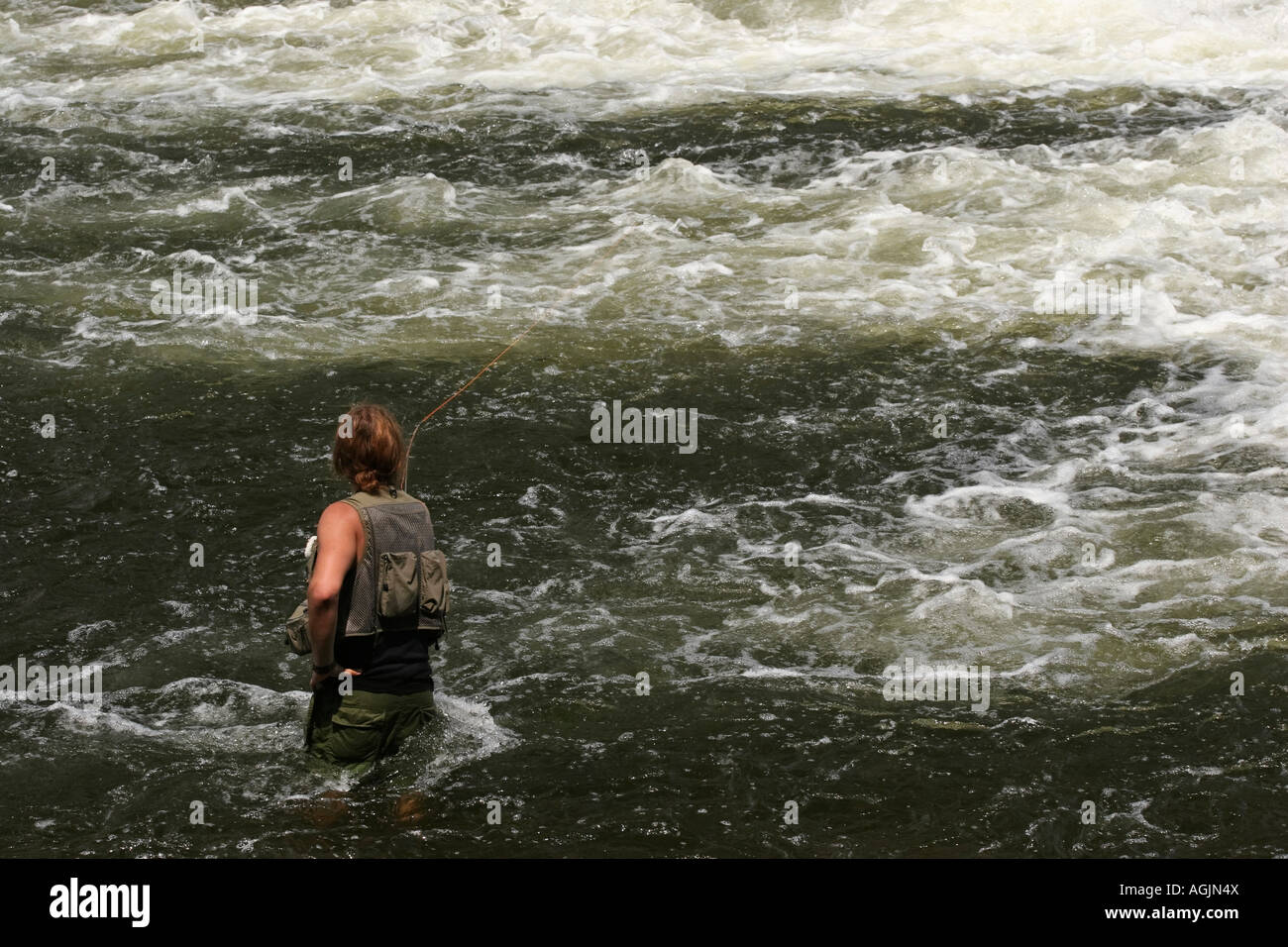 Gilets de Pêche L, neuf et occasion