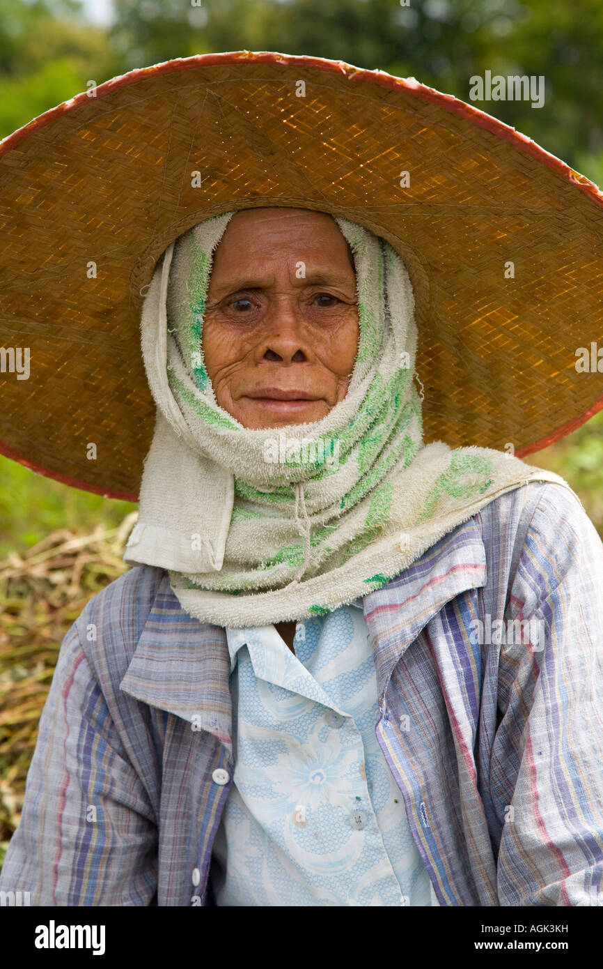 Travailleur agricole Chiang Mai portant chapeau de paille d'Ngohps Banque D'Images
