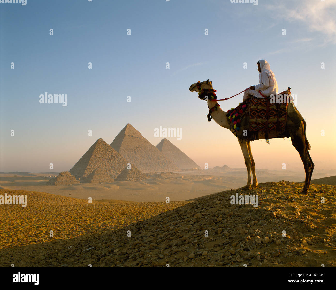 Les chameaux et pyramides Gizeh Le Caire Egypte Banque D'Images