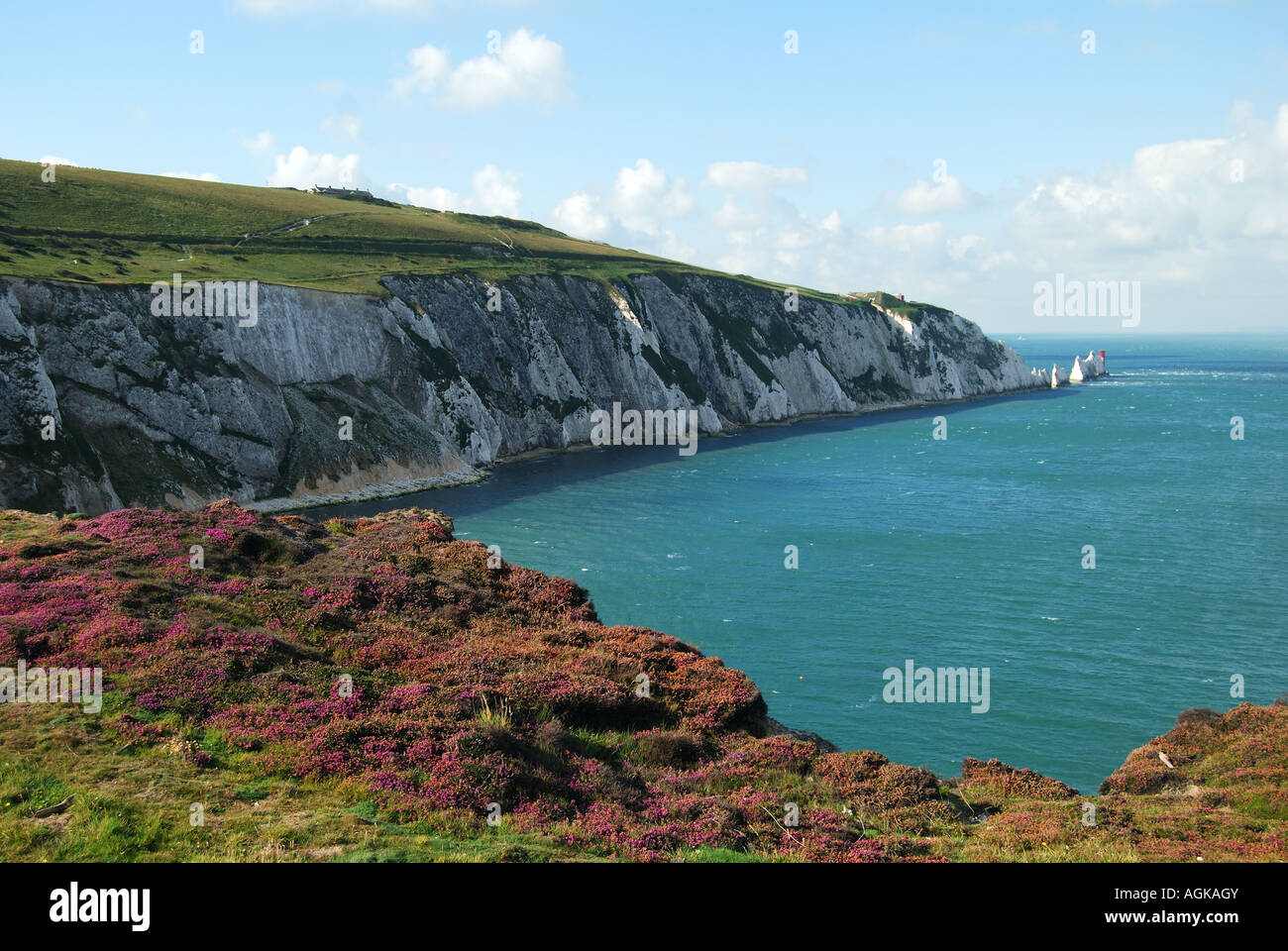 Vue sur les aiguilles et de l'Alun Alun Bay, Bay, île de Wight, Angleterre, Royaume-Uni Banque D'Images