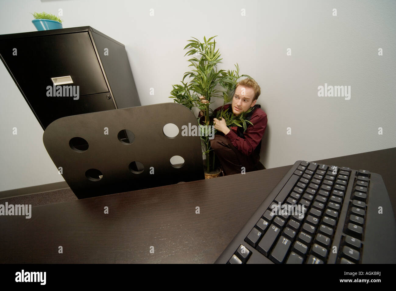 Businessman se cacher derrière une plante en pot dans un bureau Banque D'Images