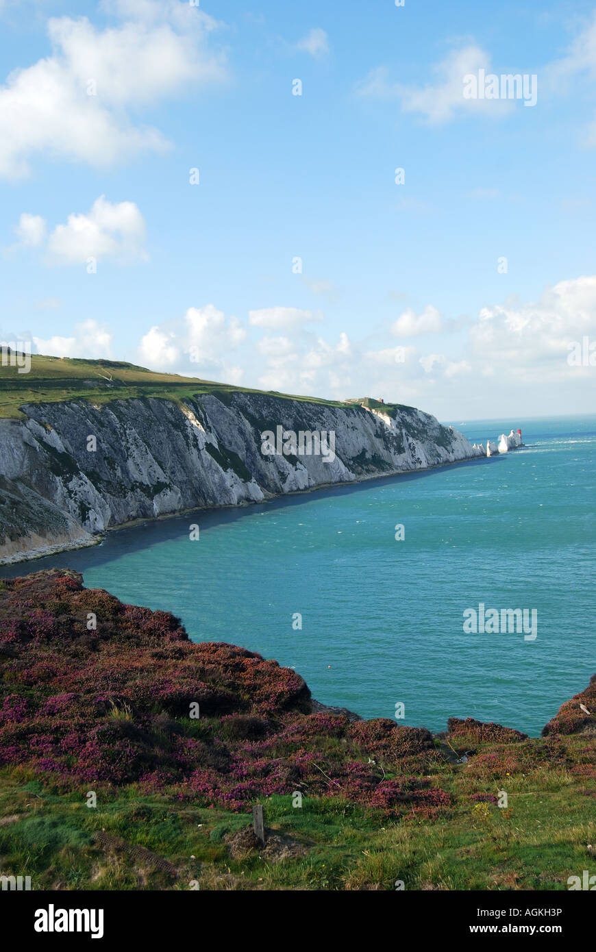 Vue sur les aiguilles et la baie, de l'Alun Bay, île de Wight, Angleterre, Royaume-Uni Banque D'Images