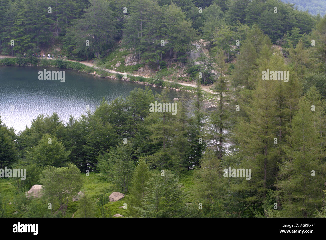 Avis de Lago Santo, Pinzolo, Italie Banque D'Images