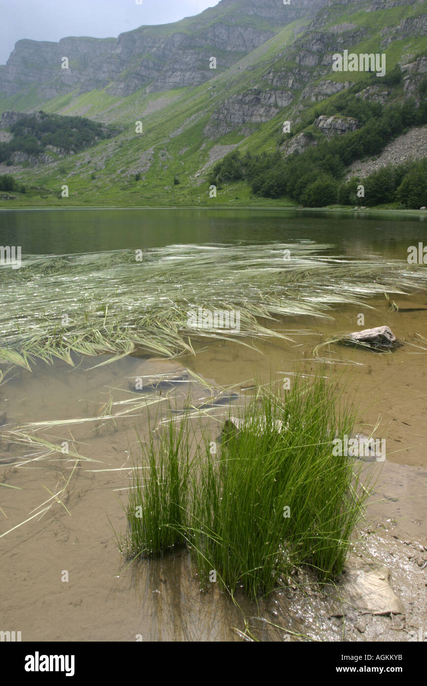 Le lac Baccio, Tirano, Italie Banque D'Images