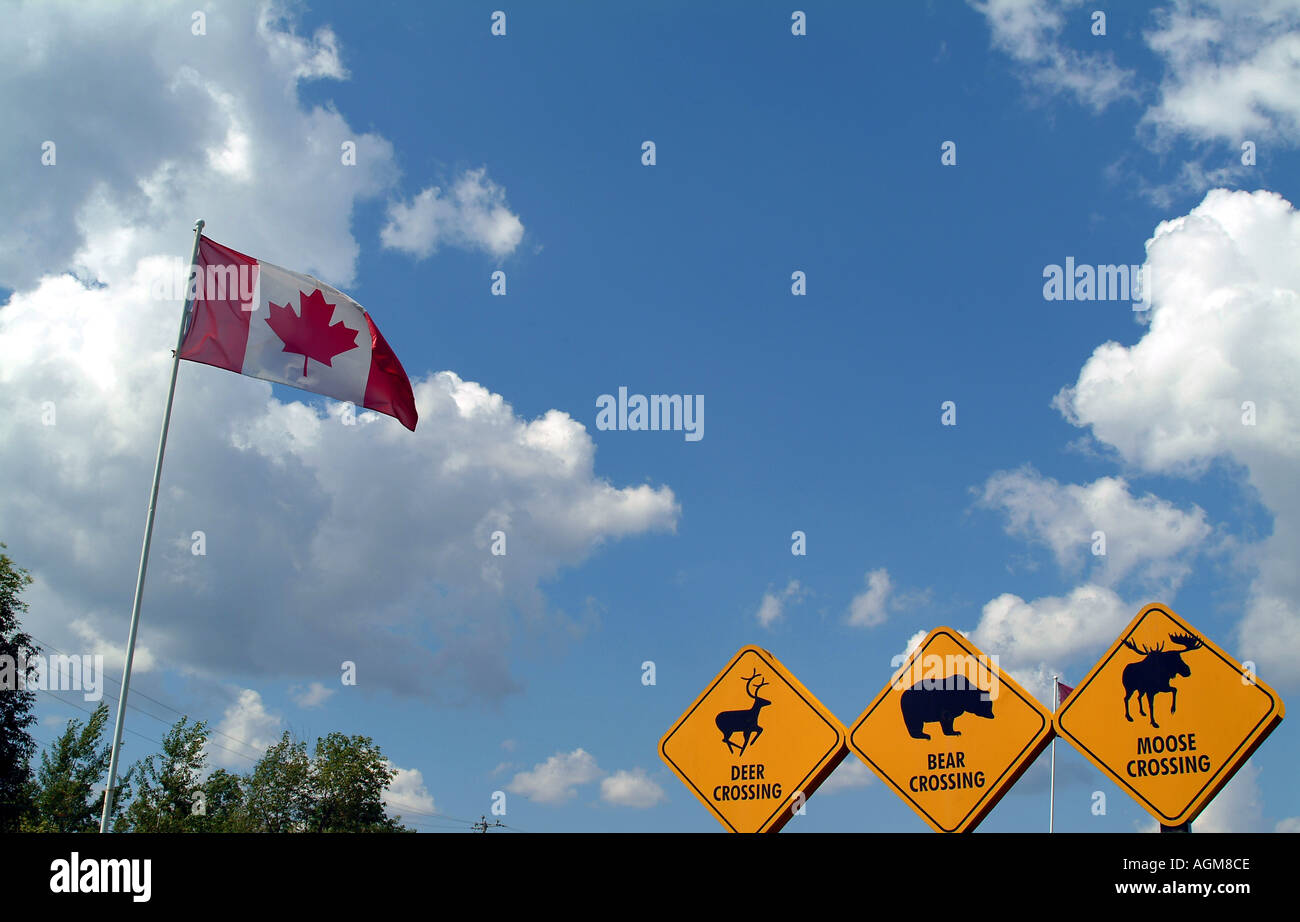 Ours et l'orignal Deer crossing road sign Canada Banque D'Images