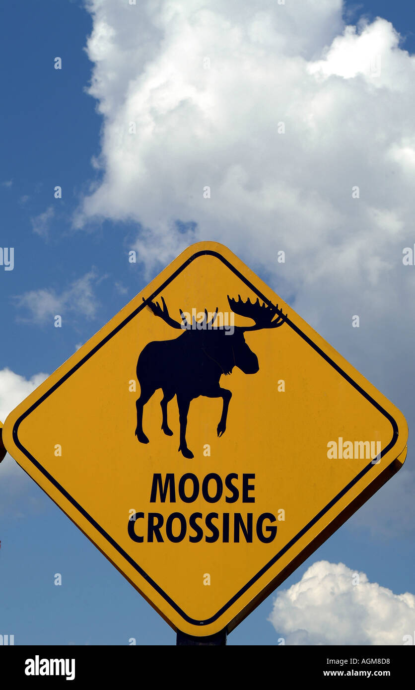 Moose crossing road sign Canada Banque D'Images
