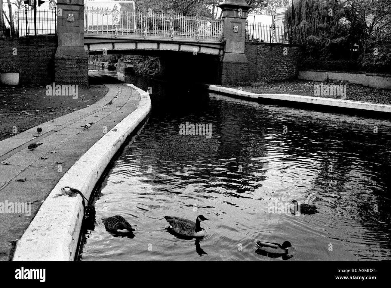 Les canards et la petite Venise Pont de Londres Banque D'Images