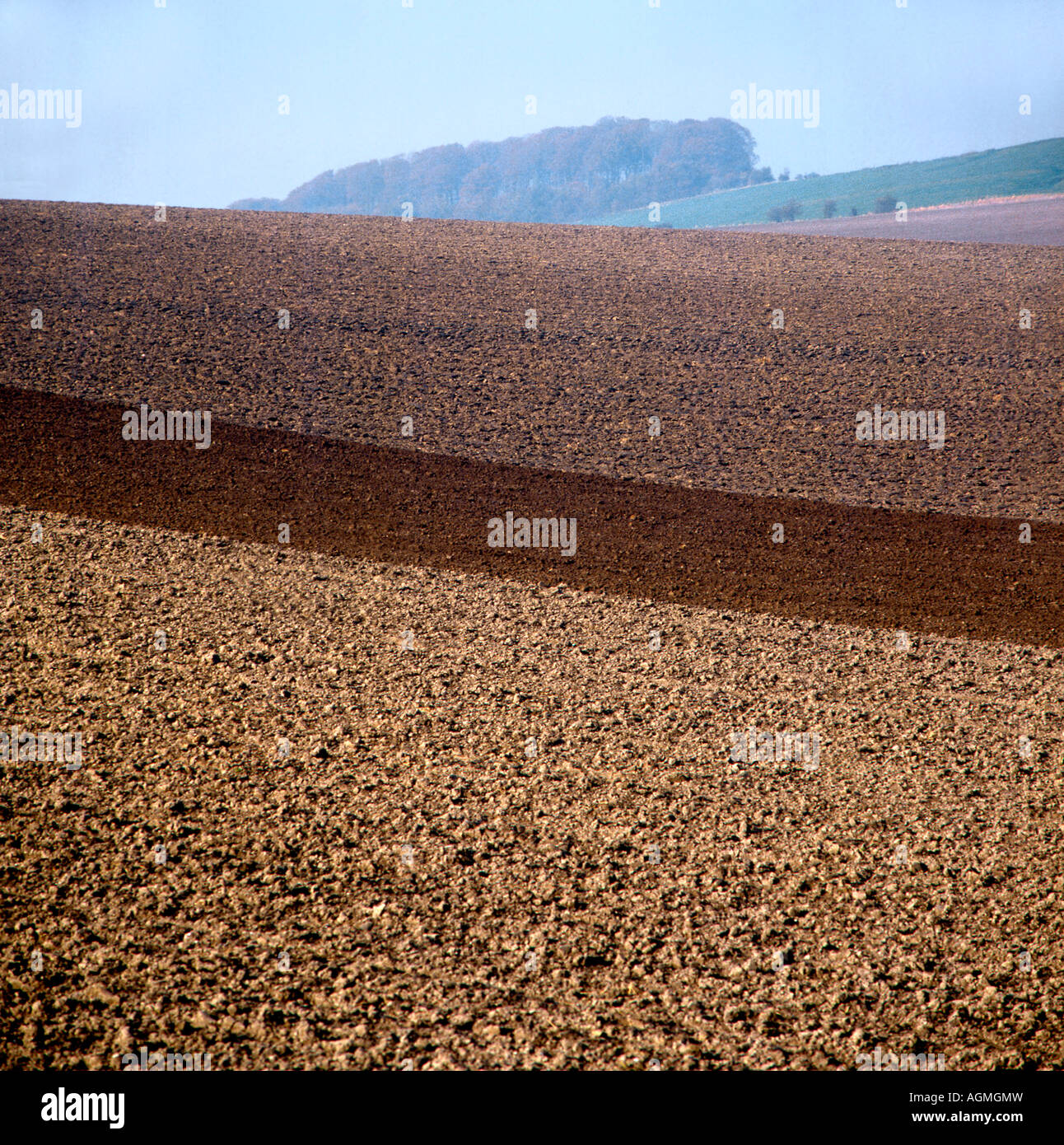 Paysage, Marlborough Downs, Angleterre Banque D'Images