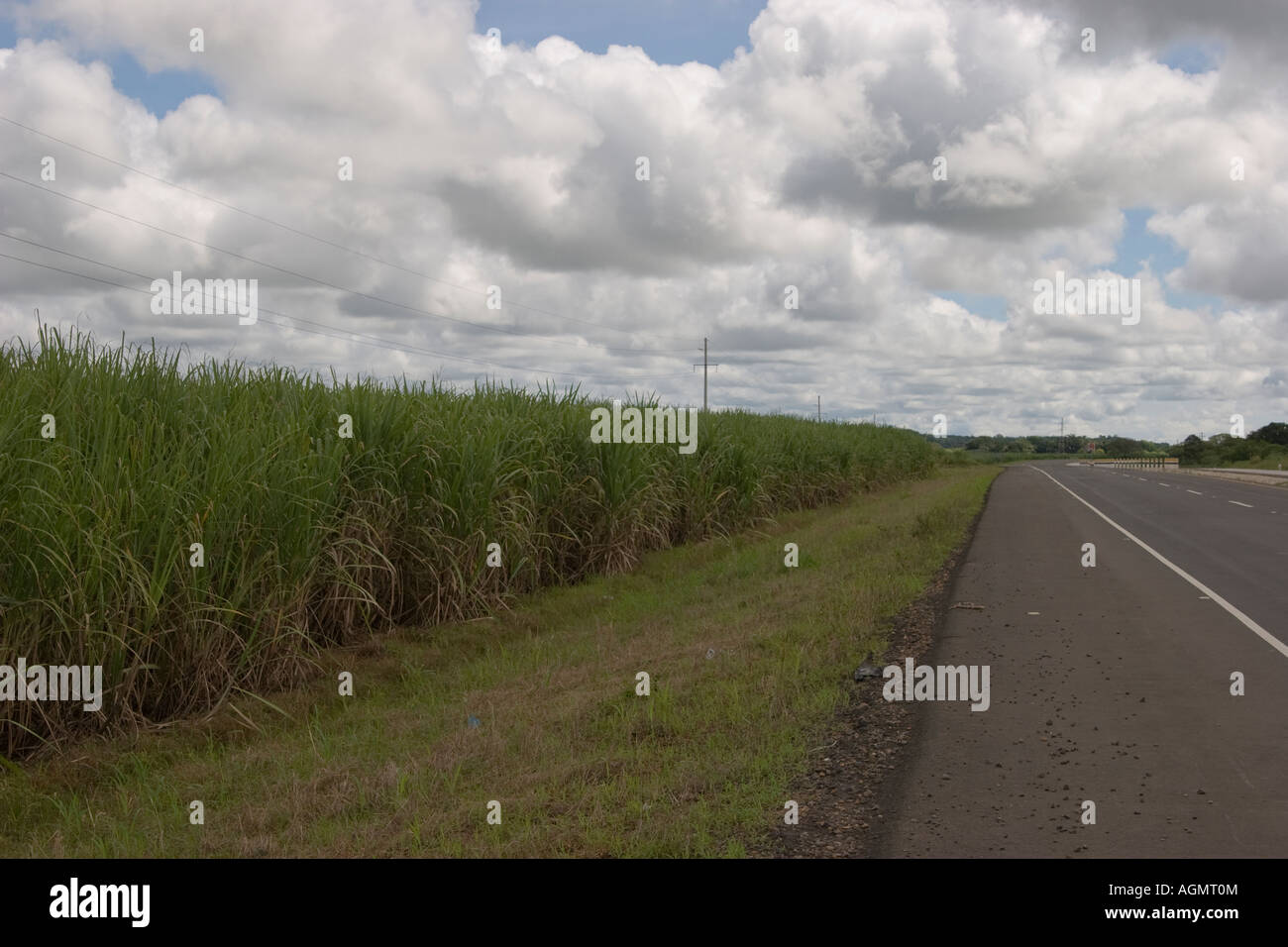 L'autoroute panaméricaine via une plantation de canne à sucre. Aguadulce, Cocle, Panama, Amérique Centrale Banque D'Images
