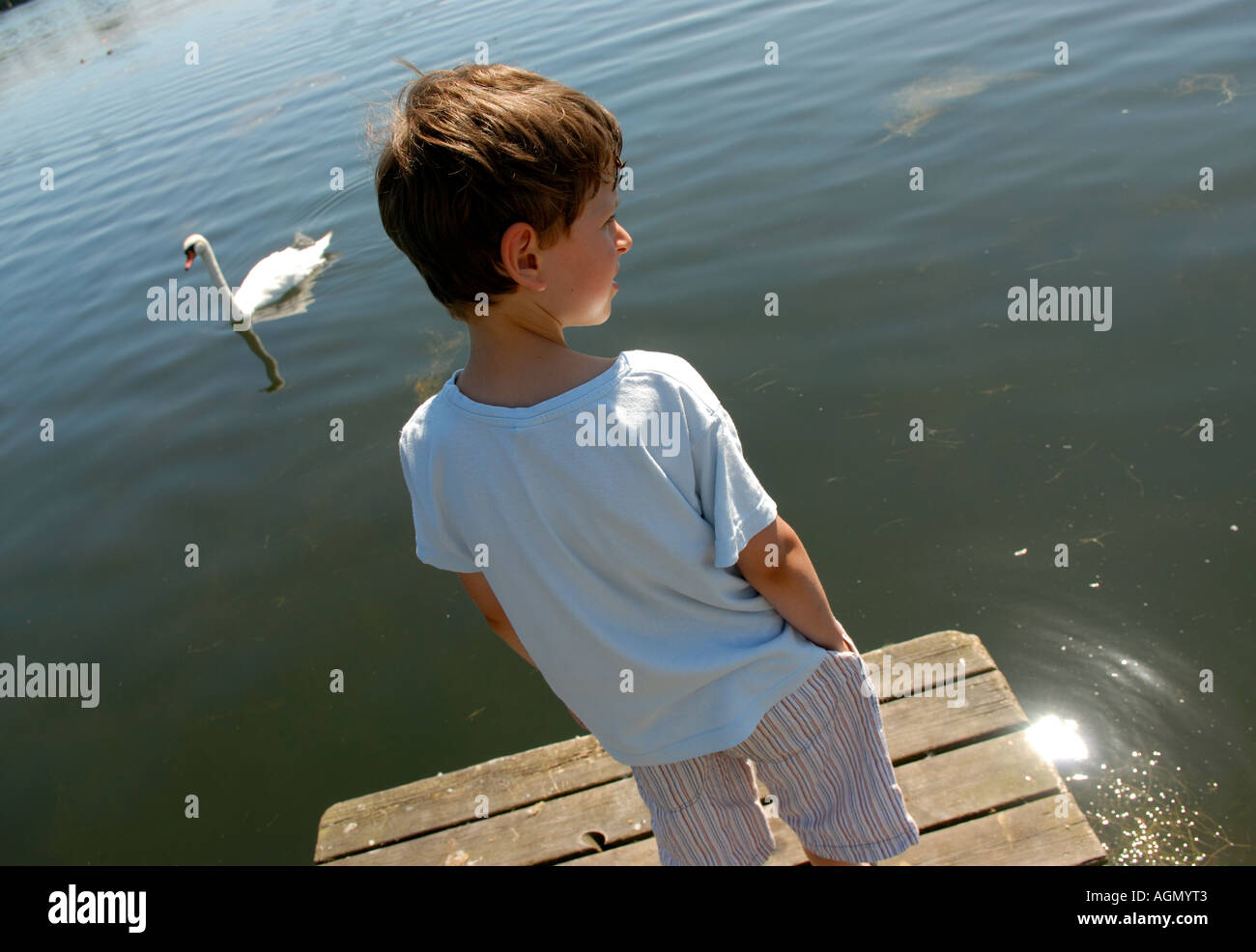 GARÇON ET SWAN Banque D'Images