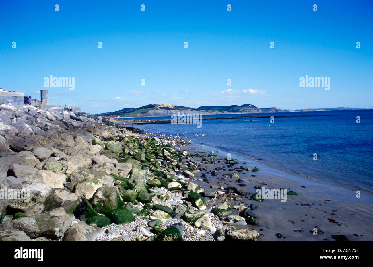 La baie de Lyme à Lyme Regis, sur la côte du Dorset Angleterre Durassic Banque D'Images