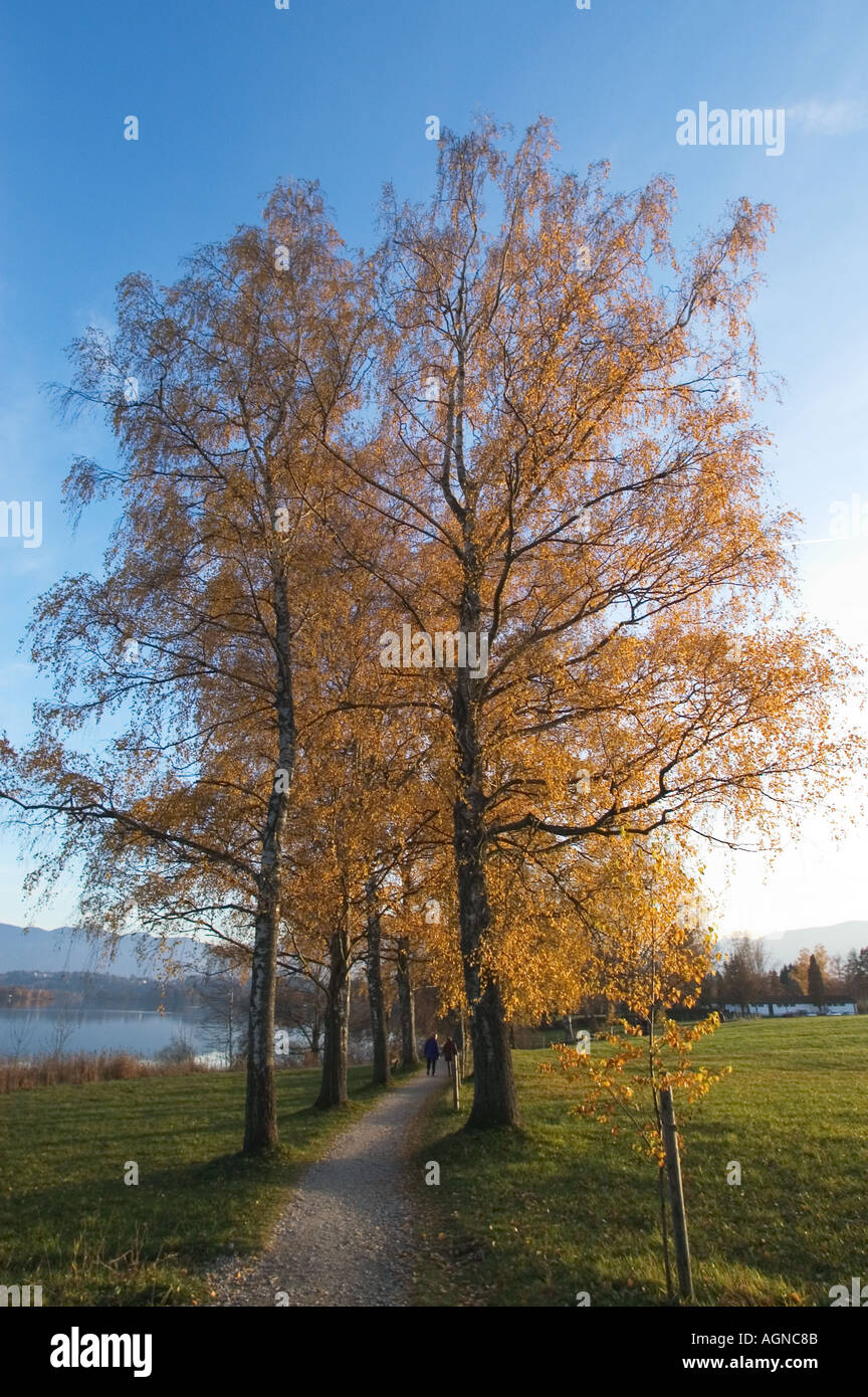 Collection automne humeur au Staffelsee Murnau en Bavière du sud de Munich Allemagne Banque D'Images