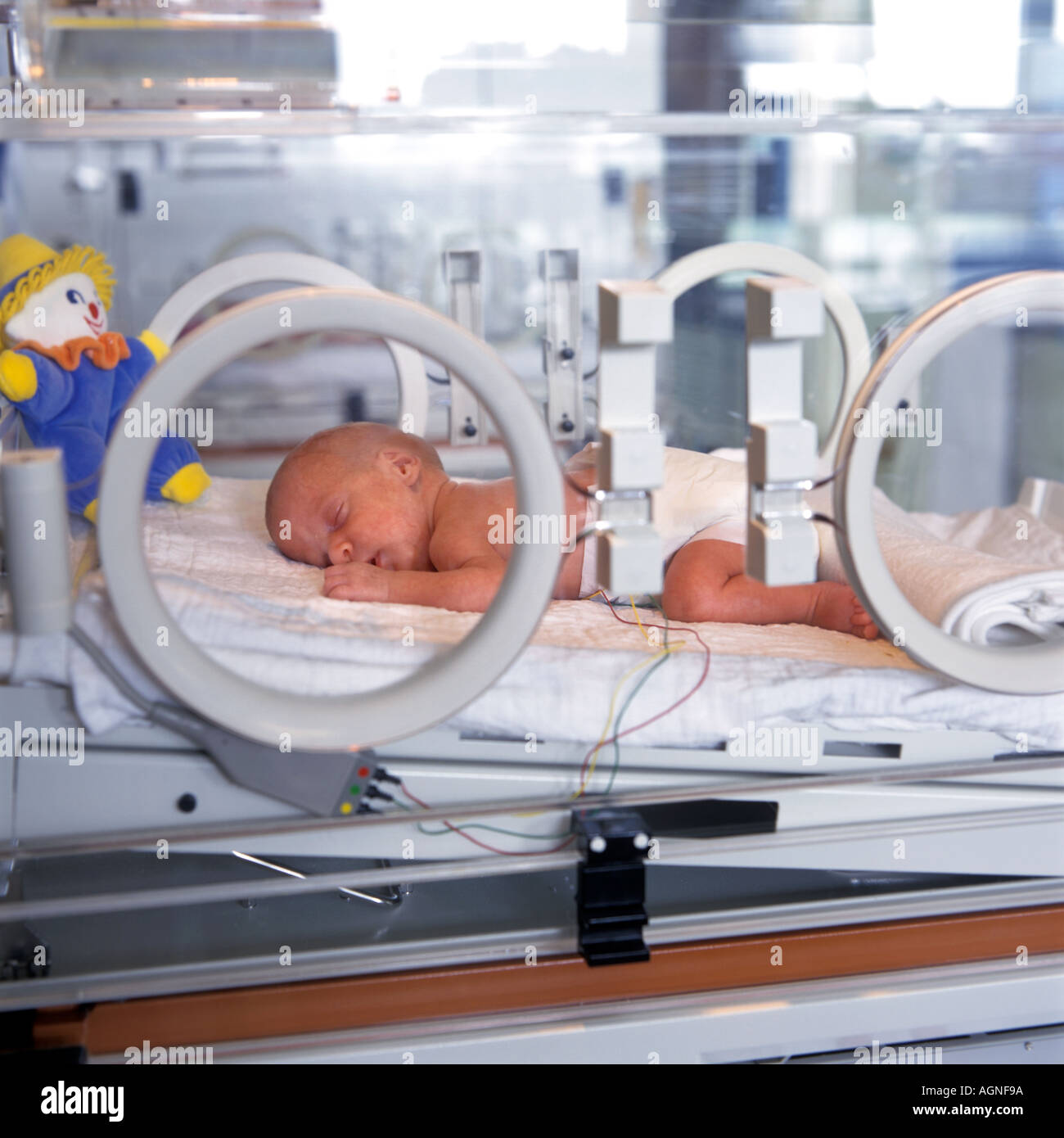 Bebe Premature En Couveuse Photo Stock Alamy