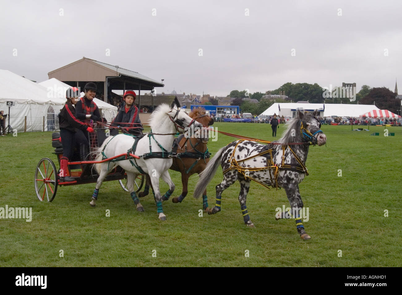 Amanda Saville et la conduite de la partie de l'équipe de poney de son spectacle de chars de feu Banque D'Images