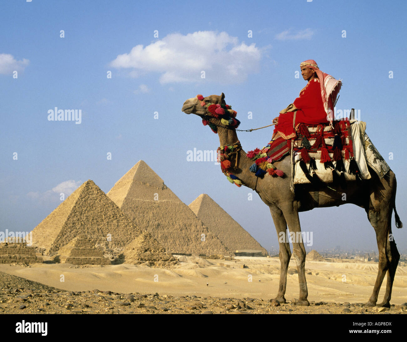 Pyramides, Gizeh, Egypte, Afrique du Nord, avec Camel et Guide, UAR Banque D'Images