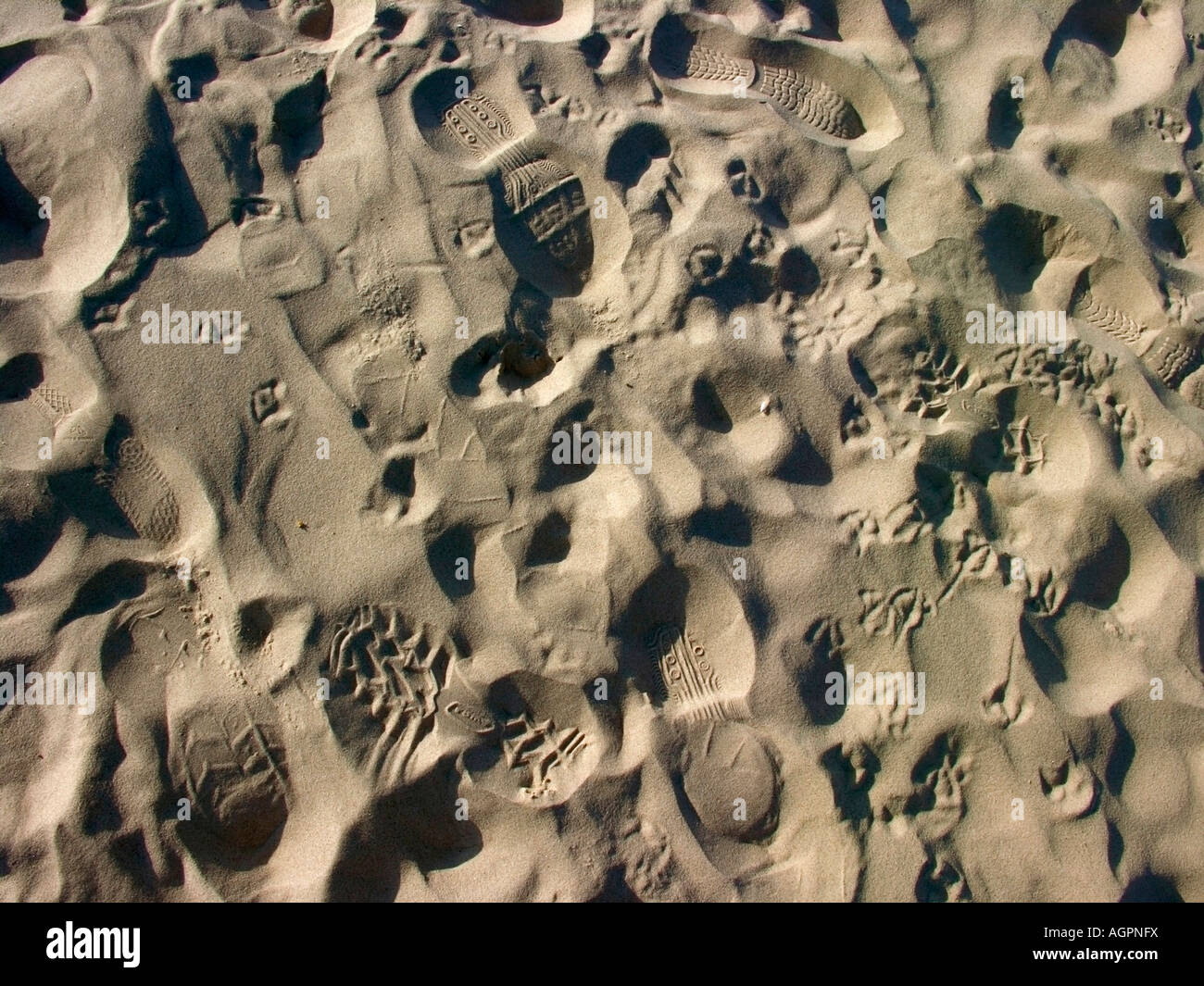 Empreintes de chaussures et d'oiseaux sur le sable Banque D'Images