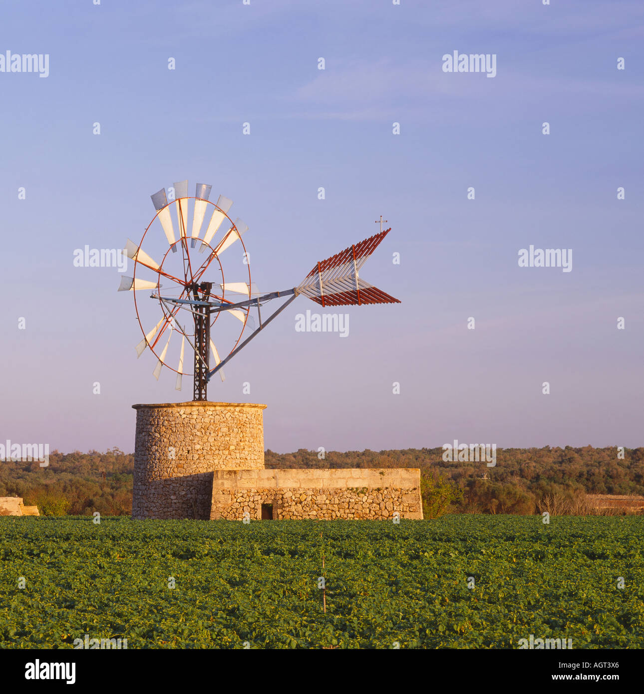 Noria ou moulin à vent pour pomper de l'eau Majorque, Baleares, Espagne Banque D'Images