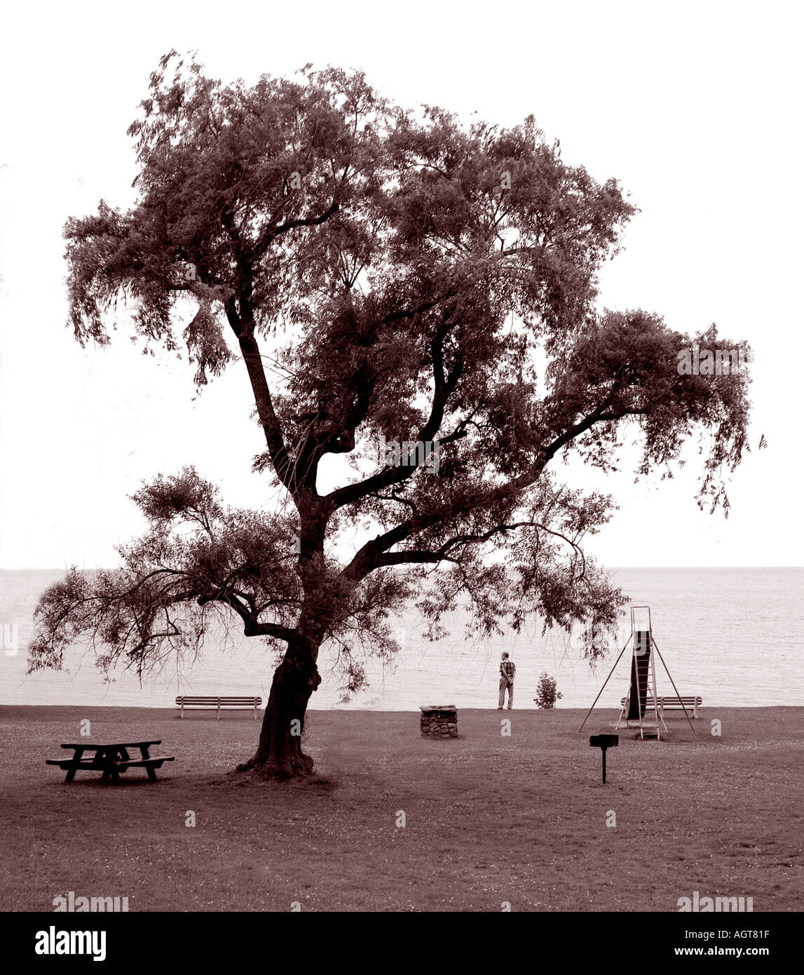 Homme seul au lac Banque D'Images