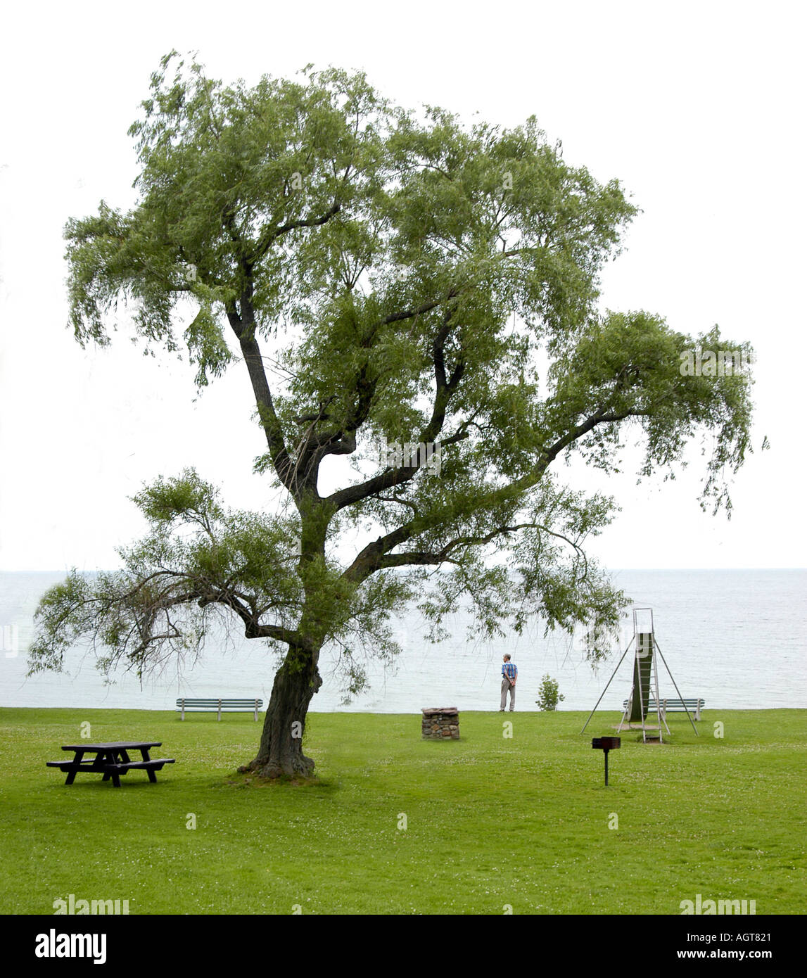 Homme seul au lac Banque D'Images