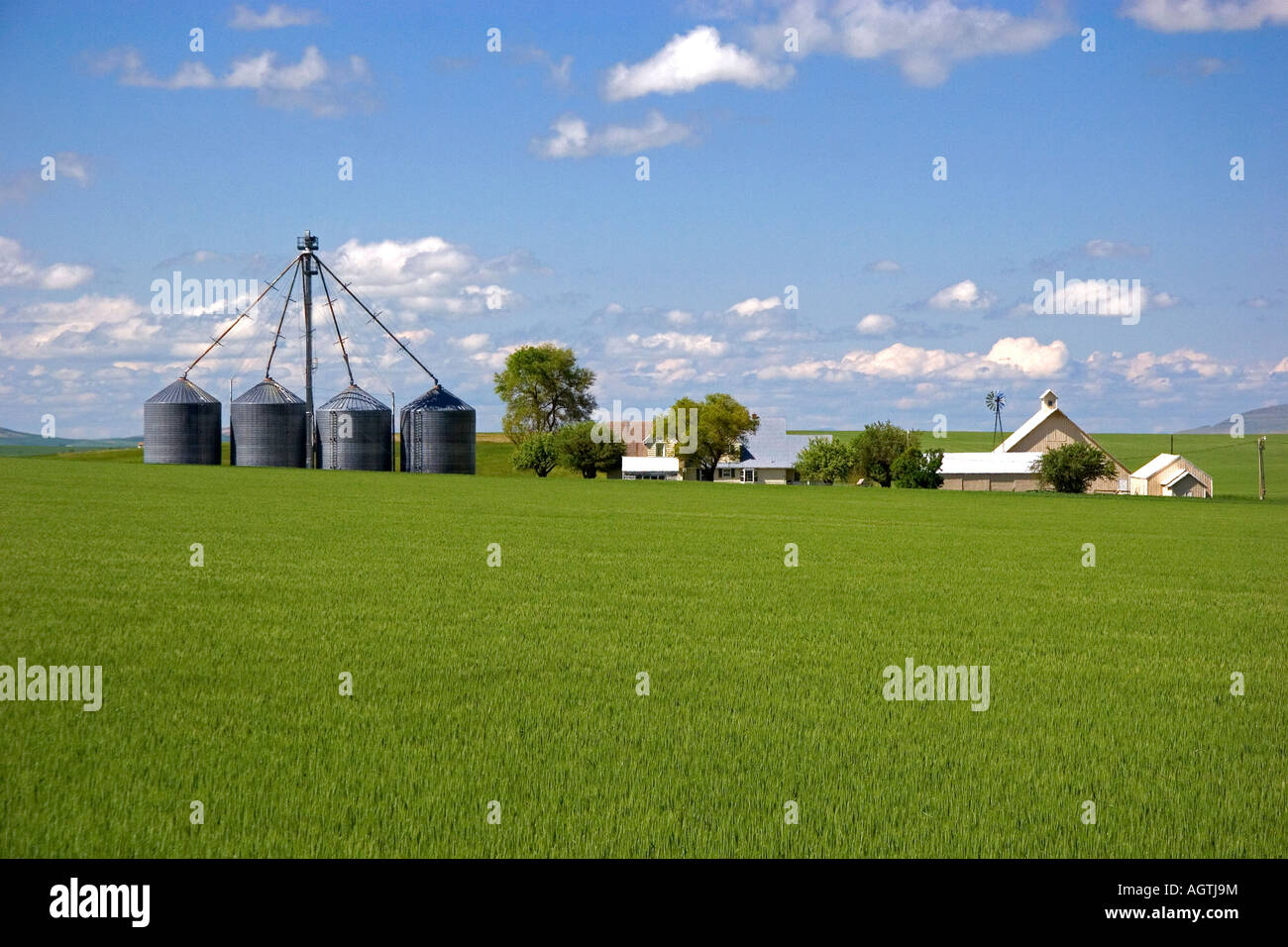 Les champs de blés verts et ferme à l'Idaho Grangeville Banque D'Images