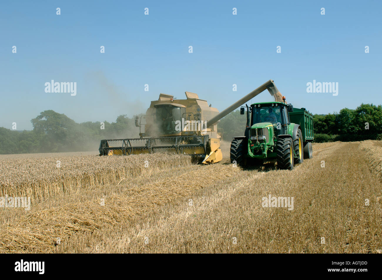 New Holland TX68 plus combiner la récolte récolte de blé mûr s'acquitter de grain pour remorque Banque D'Images