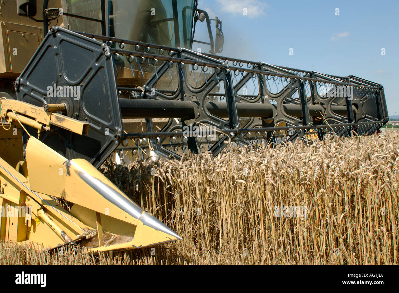 New Holland TX68 plus combiner la récolte récolte de blé mûrs Banque D'Images