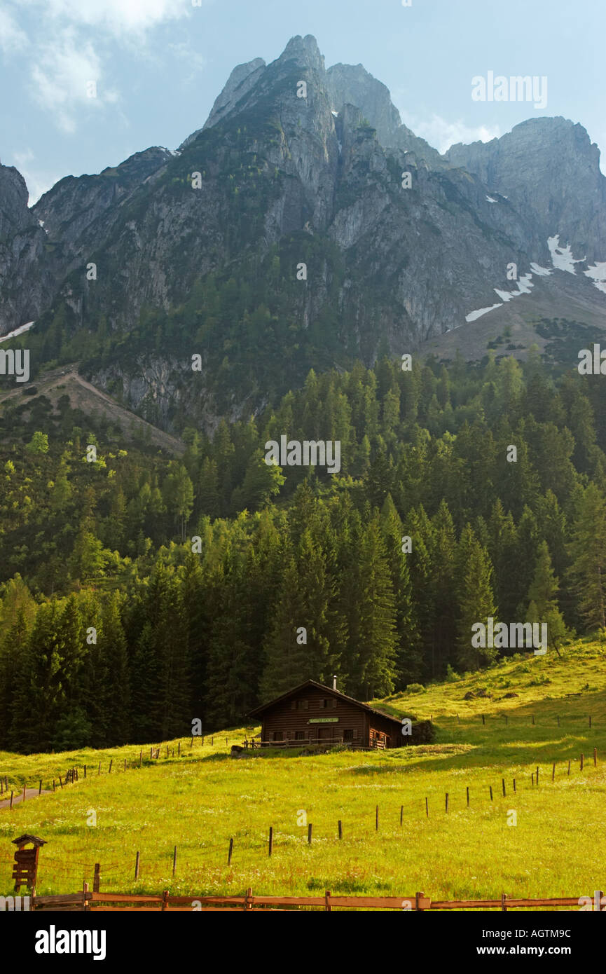 Chalet alpin sur une prairie verdoyante au pied de la chaîne de montagnes Gosaukamm. Salzkammergut, Autriche. Banque D'Images