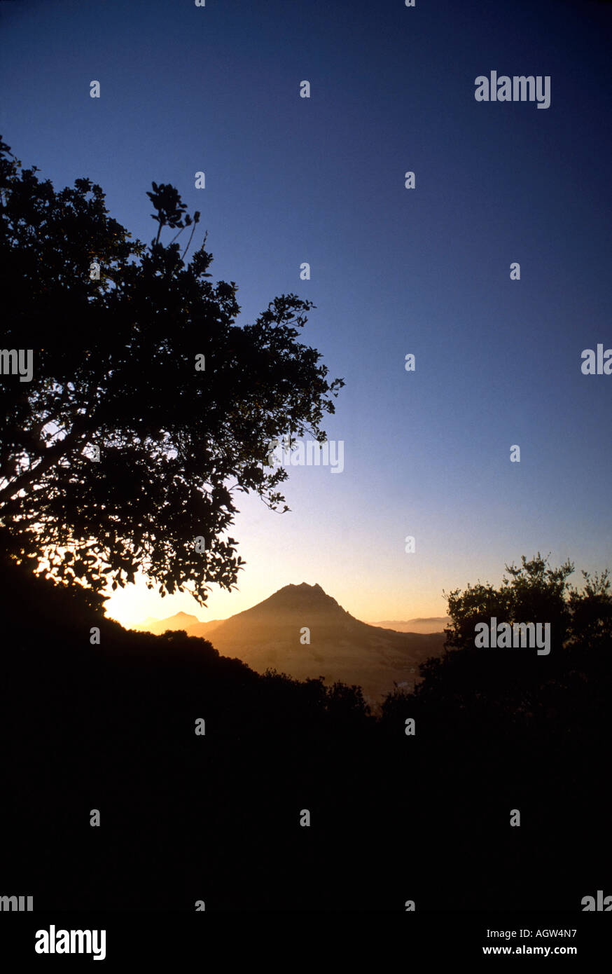 Coucher de soleil avec des rayures et la montagne solitaire unique et les branches d'arbres Banque D'Images