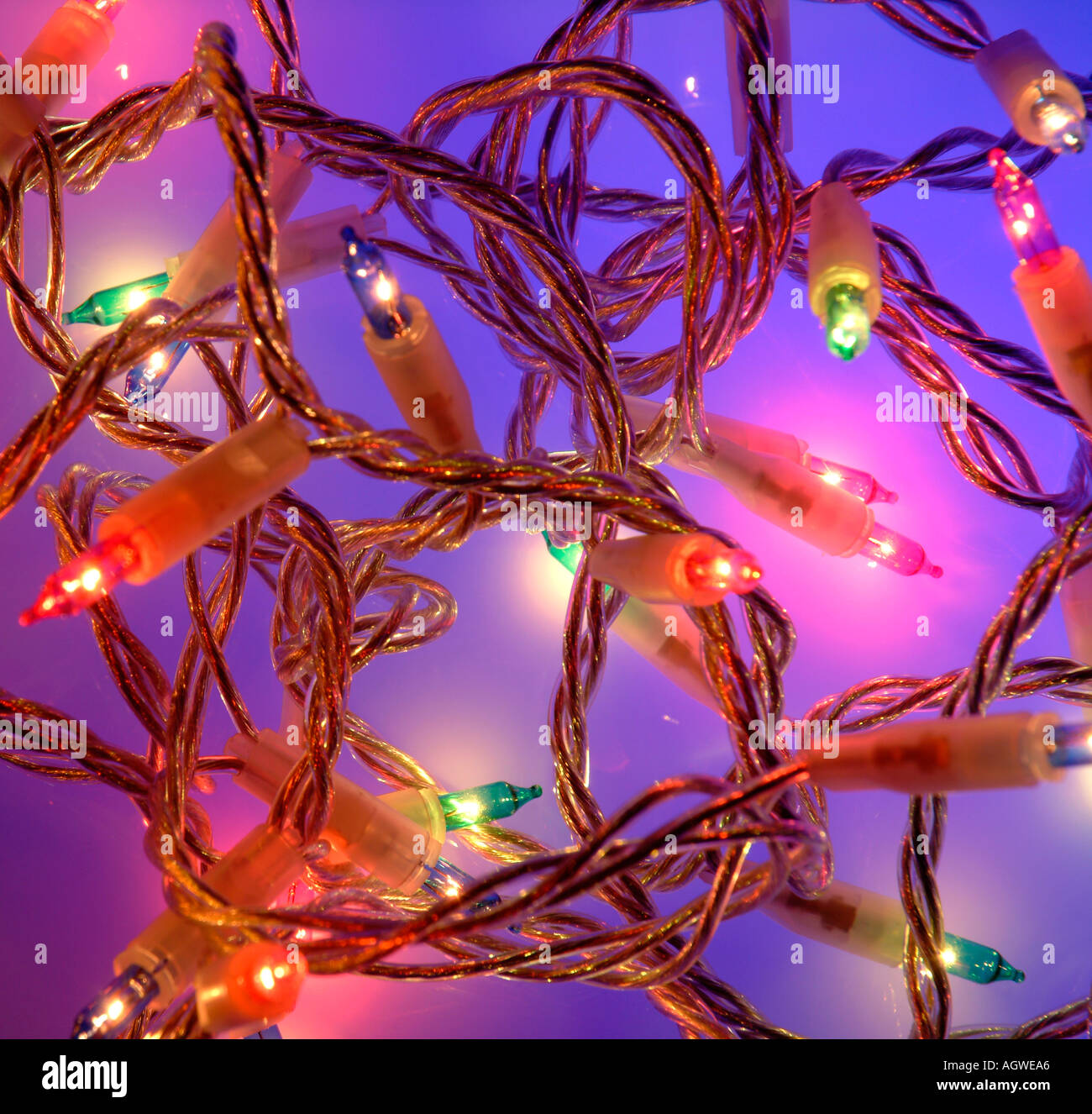 Fairy Lights Christmas Tree Banque D'Images