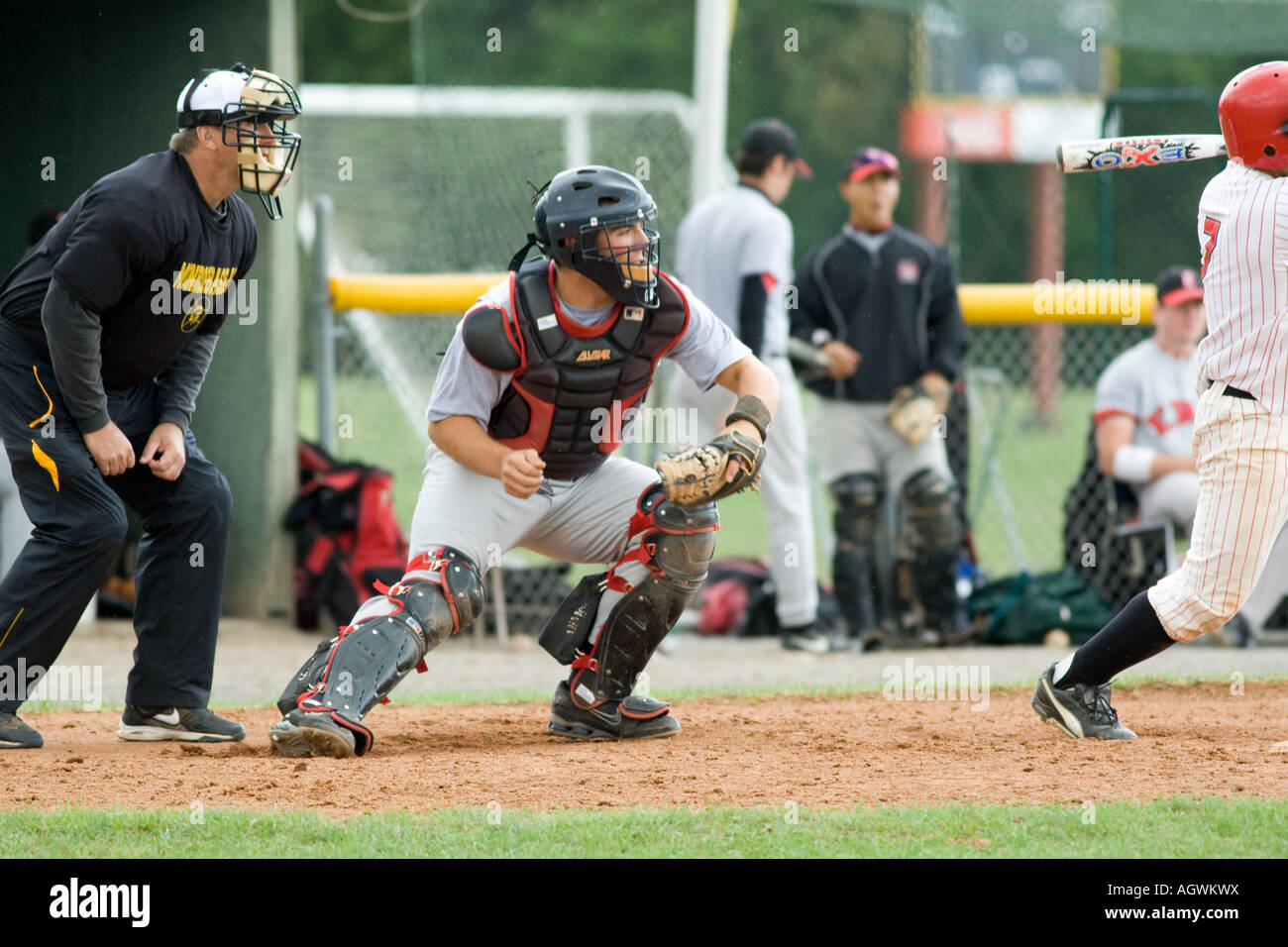 College de baseball. Banque D'Images