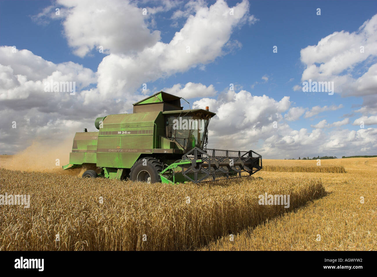 Une moissonneuse-batteuse Deutz - Fahr au travail la récolte d'un champ de blé. Hertfordshire, Angleterre Banque D'Images