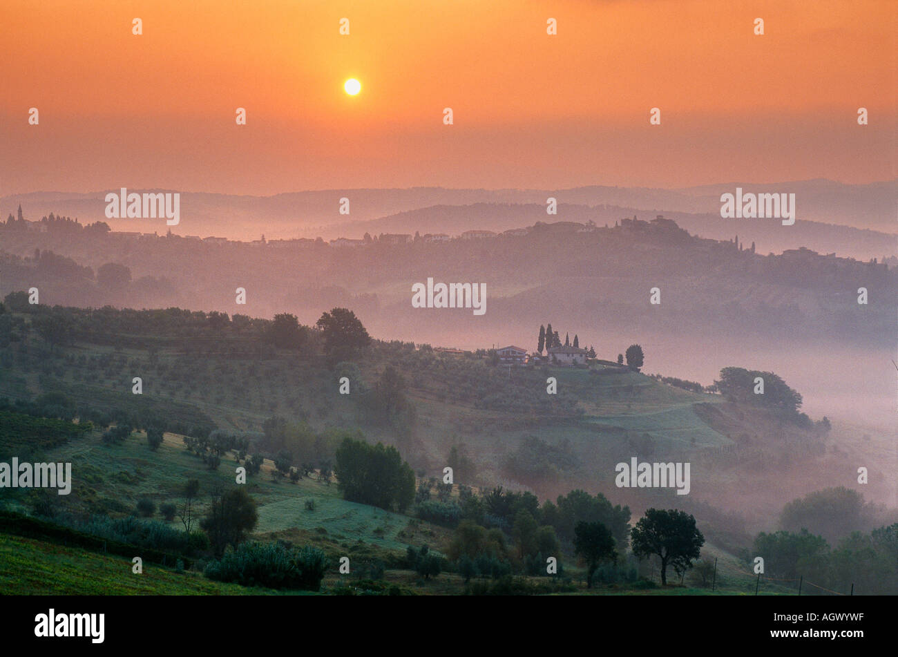 Misty nr Barberino Val d Elsa région du Chianti Toscane Italie Banque D'Images