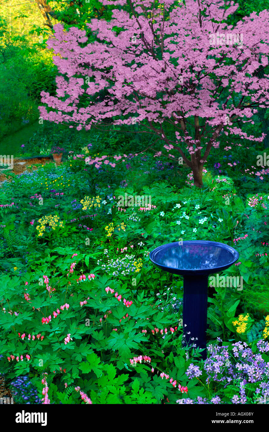 Bain d'oiseaux dans un jardin japonais Photo Stock - Alamy