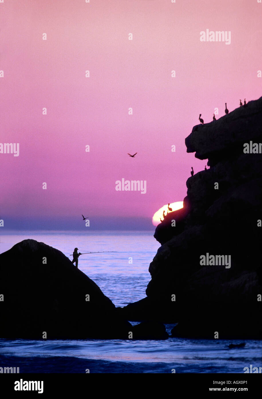 Un pêcheur qui se profile dans de grosses roches par ocean dans Morro Bay en Californie alors que les couchers de soleil et les oiseaux à proximité Banque D'Images