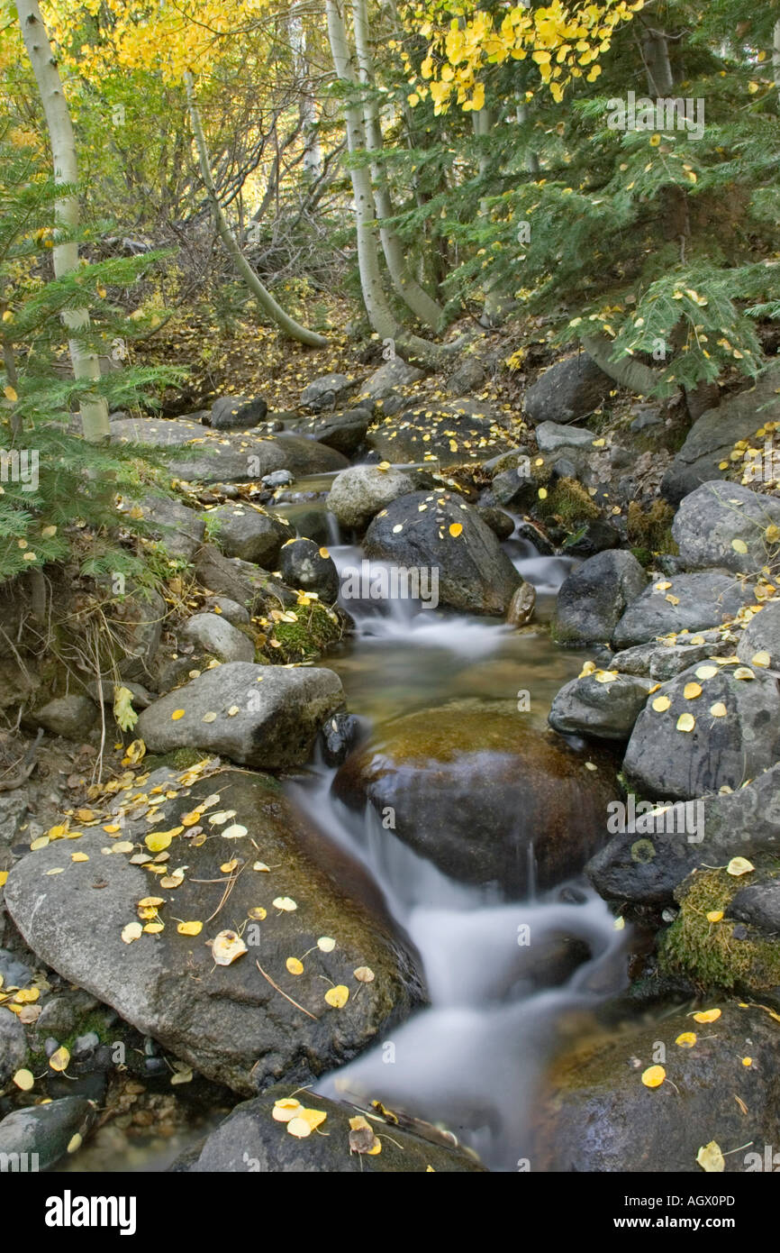 Des cascades et des couleurs de l'automne dans les montagnes sierras de l'Est de la Californie Banque D'Images