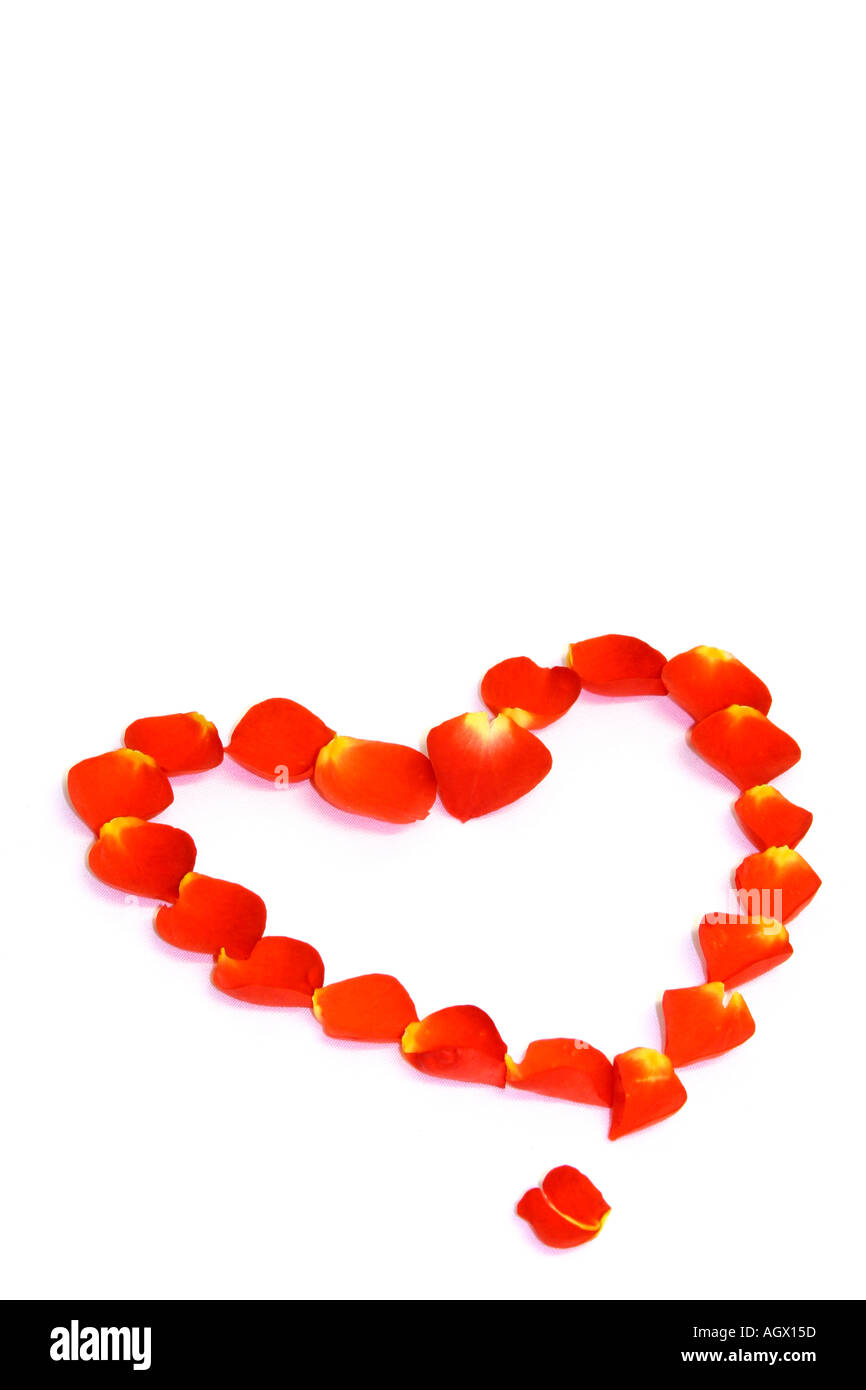 Pétale de Rose Coeur Banque D'Images