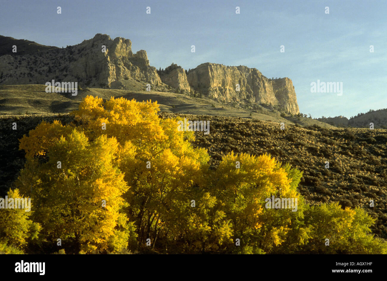 Les arbres d'automne et de formations rocheuses le long d'un petit ruisseau de montagne près de Logan, Logan, Utah. Banque D'Images