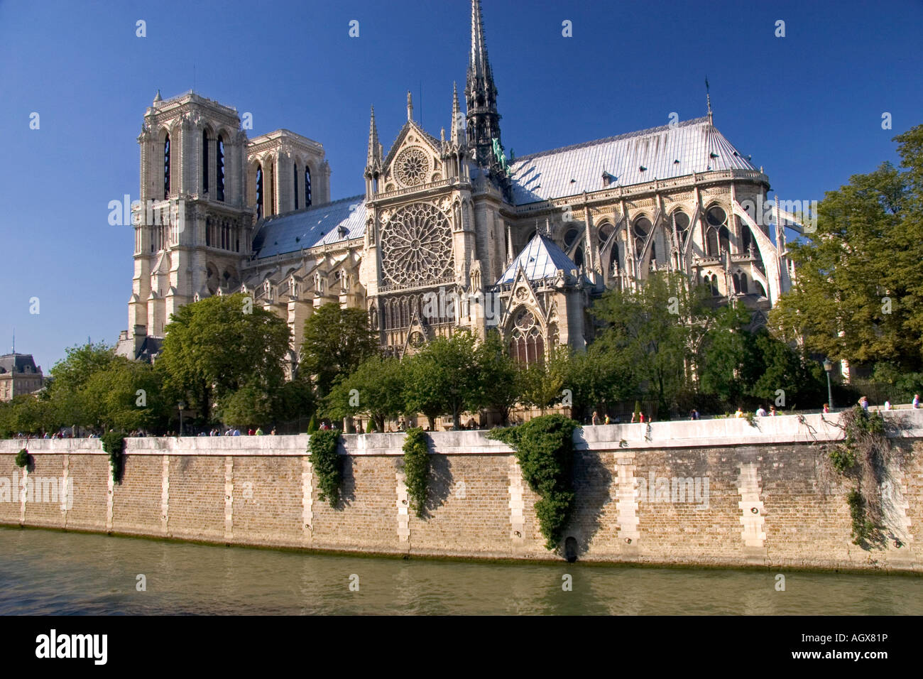 La cathédrale Notre Dame le long de la Seine à Paris France Banque D'Images