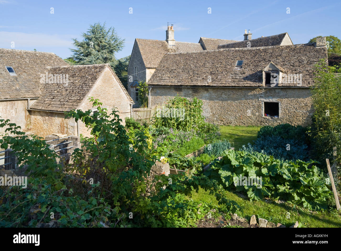 Jardins du cottage à côté de l'église dans le village de Cotswold Barnsley, Gloucestershire Banque D'Images