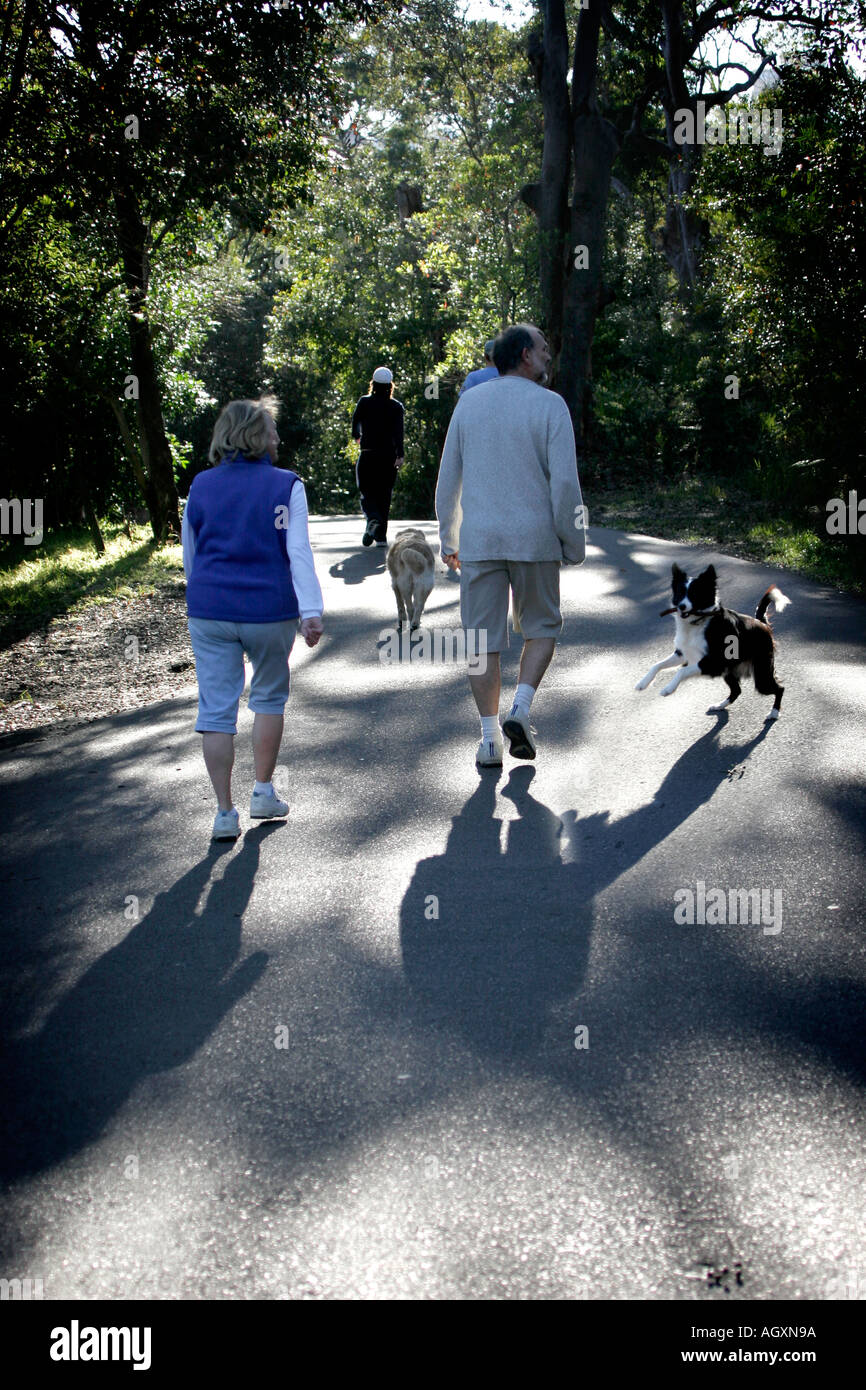 Les gens d'âge moyen walking with dog in bushland avec chien Banque D'Images