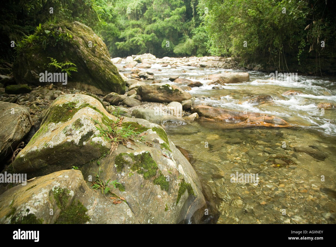 La rivière Buritaca dans la Sierra Nevada de Santa Marta, Colombie Banque D'Images