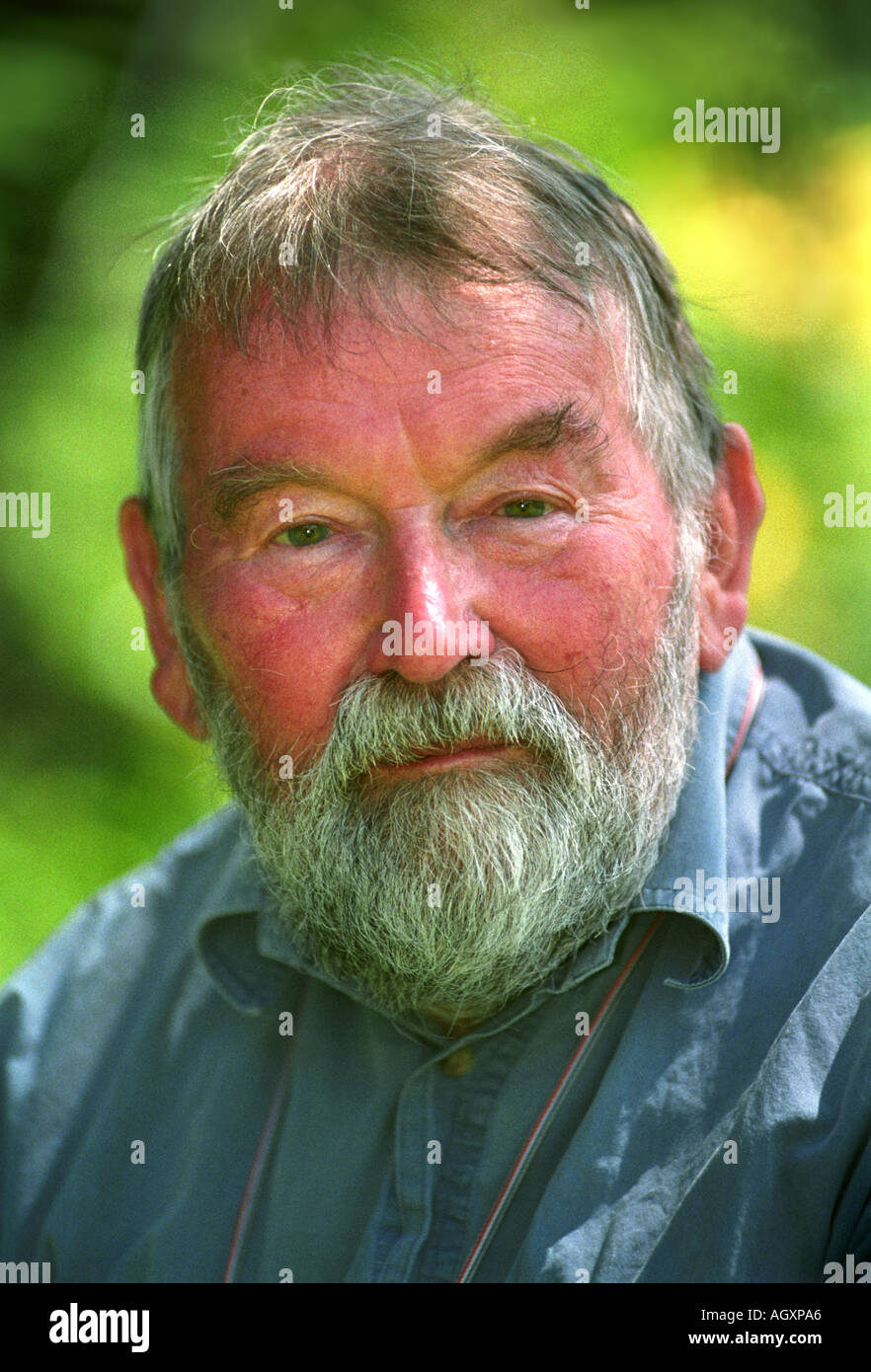 La fin de l'écrivain John Fowles PHOTOGRAPHIÉ À SON LYME REGIS ACCUEIL EN JUILLET 1999 UK Banque D'Images