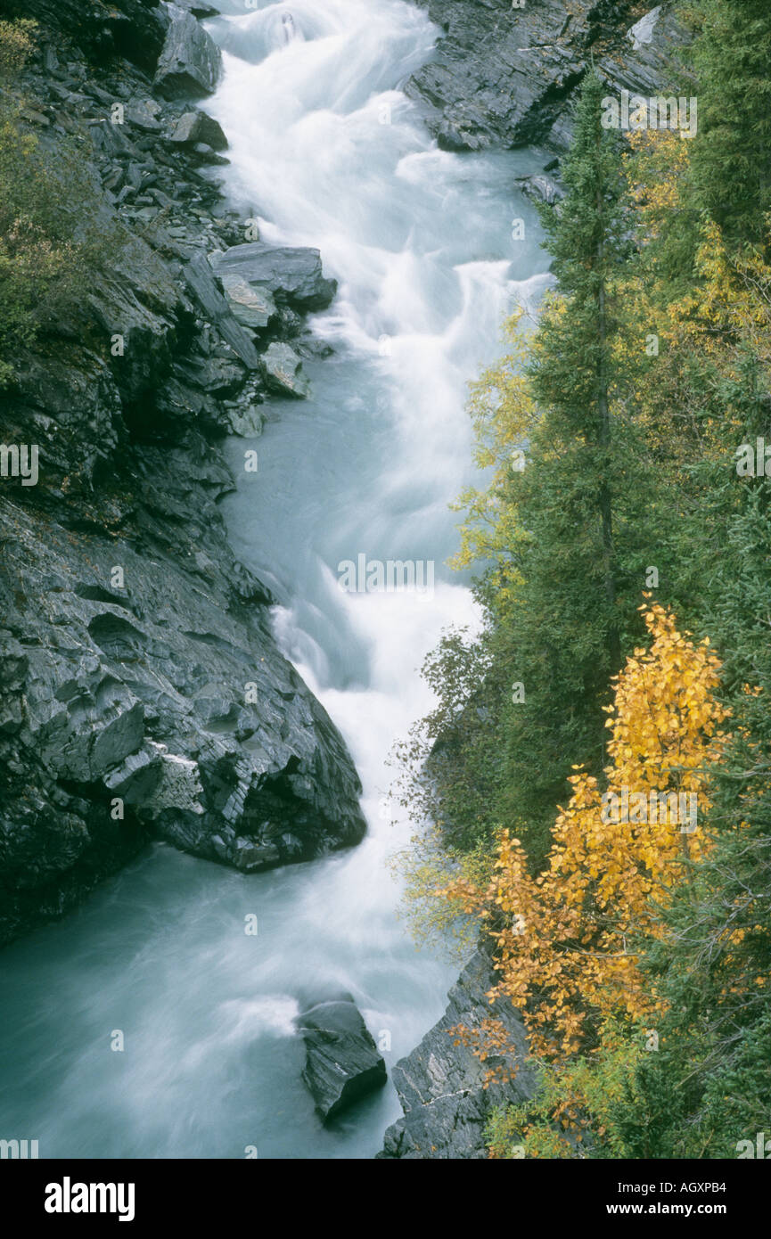 La rivière Kenai et automne couleur Banque D'Images