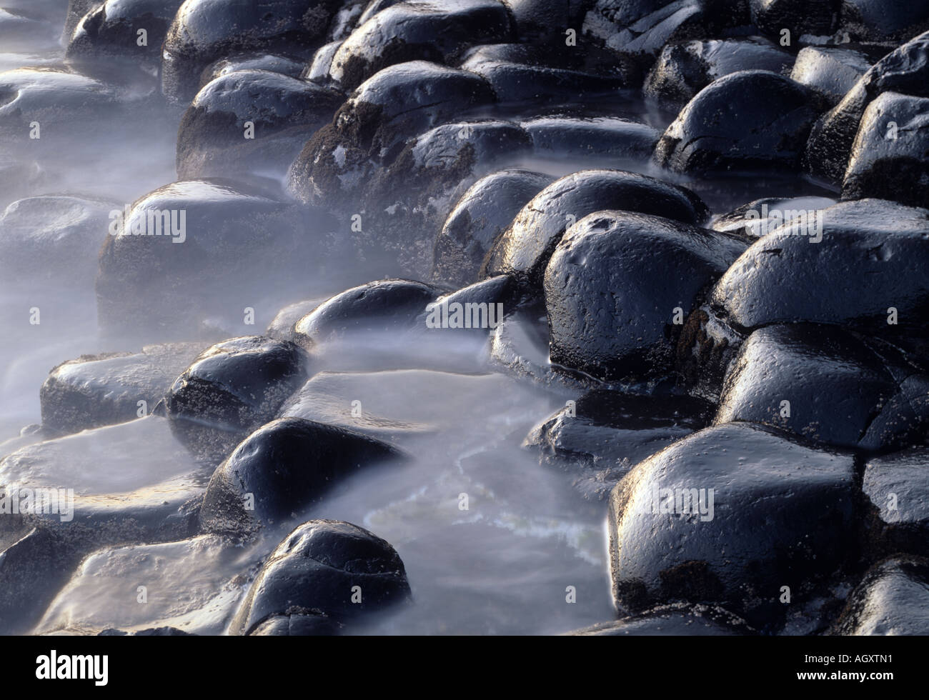 Giant's Causeway, colonnes de basalte érodé, Antrim, en Irlande du Nord, Royaume-Uni Banque D'Images