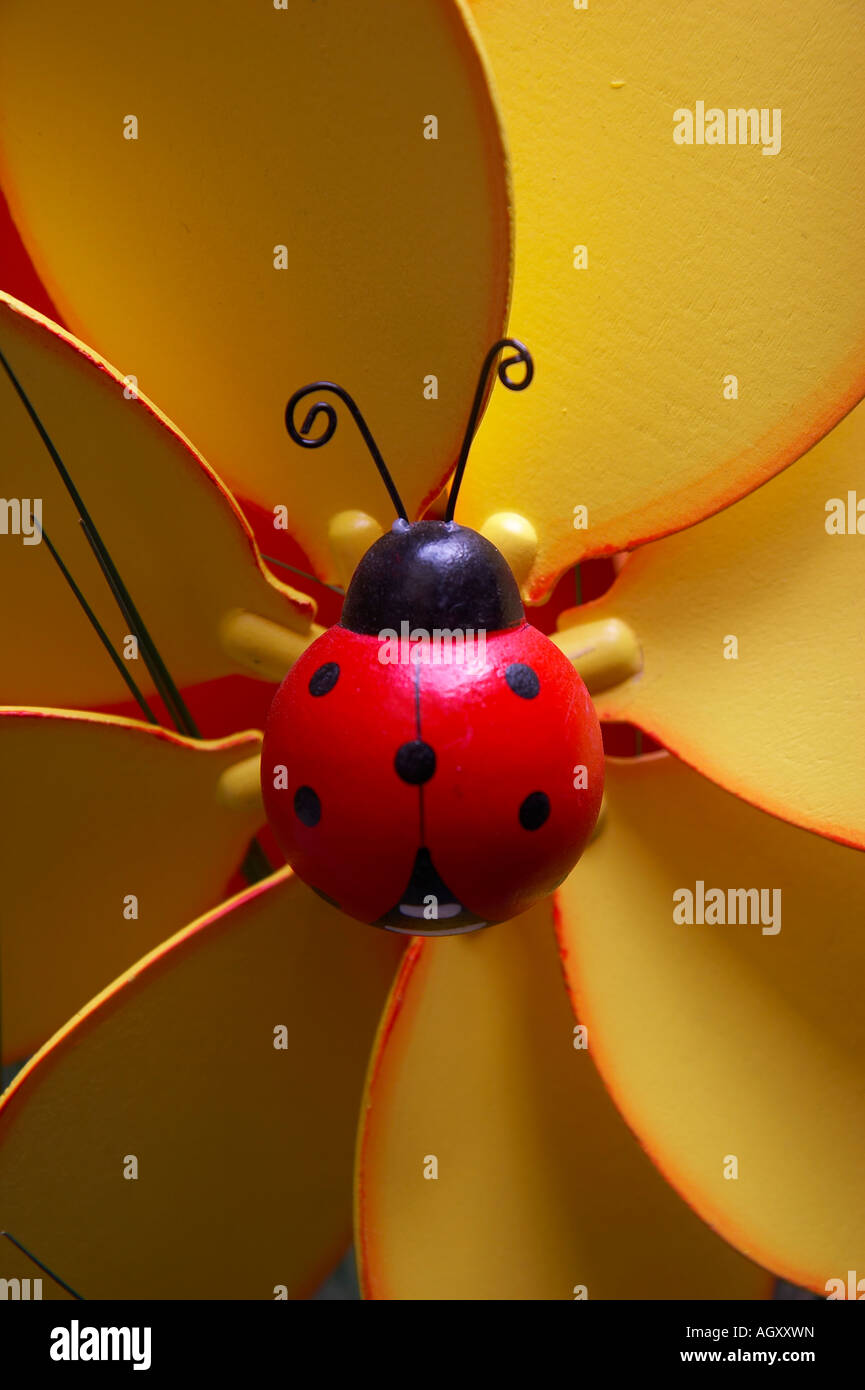 coccinelle Banque D'Images