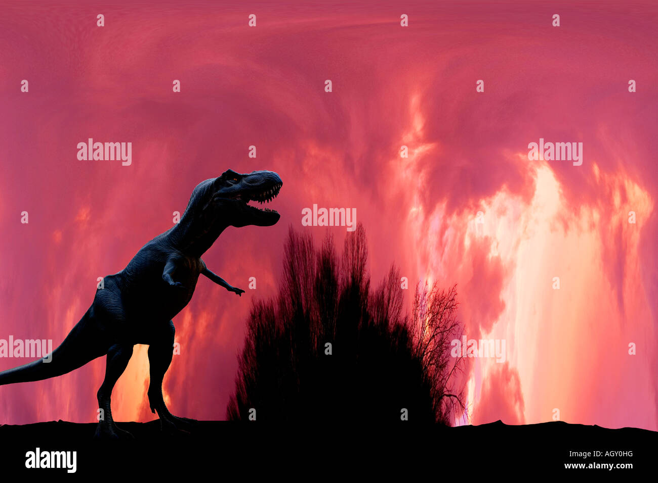 Dinosaure T-rex Banque D'Images