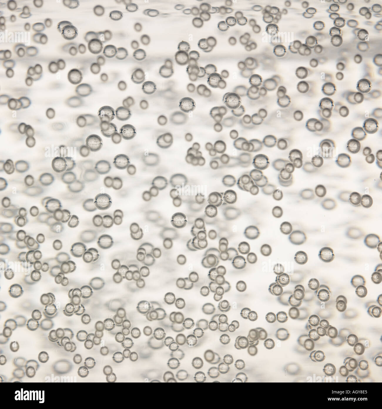 Bulles dans un liquide clair Banque D'Images