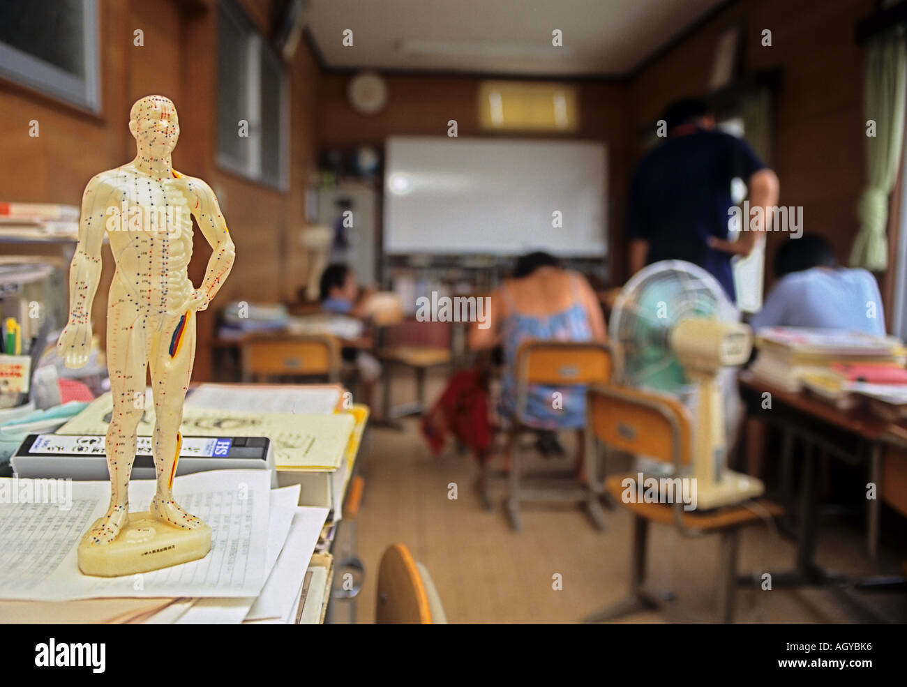 Corps humain du prince pour la leçon de science dans une salle de classe Banque D'Images