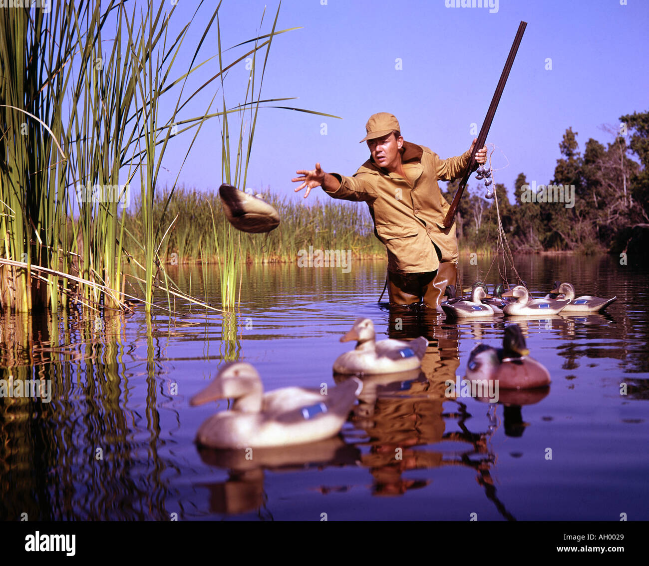 L'homme chasseur de canard plaçant de leurre lake Banque D'Images